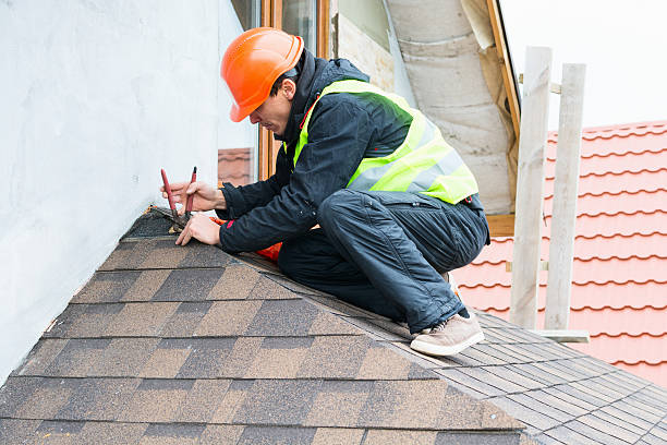 Best Gutter Installation and Roofing  in Island Walk, FL