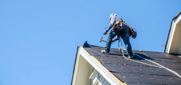 Best Storm Damage Roof Repair  in Island Walk, FL